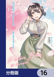 ピクチャーブライド【分冊版】　16