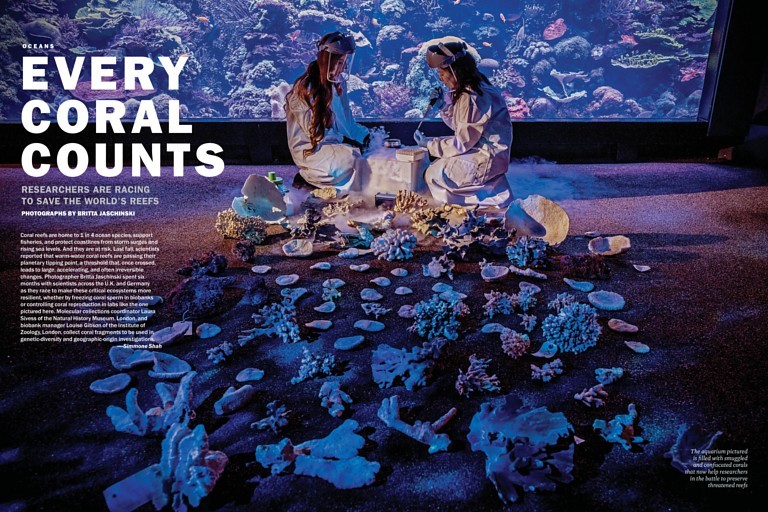 Special Report:  Oceans
