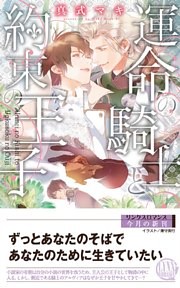 運命の騎士と約束の王子