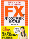 ＦＸで月100万円稼ぐ私の方法
