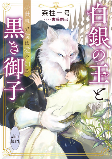 白銀の王と黒き御子シリーズ 4冊セット