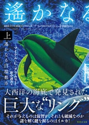 遙かなる円環都市　上