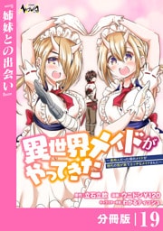 異世界メイドがやってきた～異邦人だった頃のメイドが現代の我が家でエッチなメイドさんに～【分冊版】（ノヴァコミックス）１９