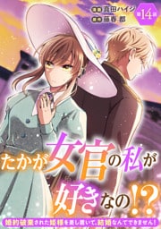 たかが女官の私が好きなの！？　婚約破棄された姫様を差し置いて、結婚なんてできません！14