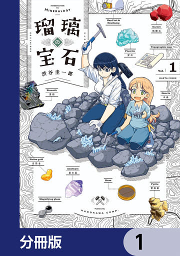 瑠璃の宝石【分冊版】