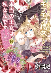 隣国に輿入れした王女付きモフモフ侍女ですが、本当の王女は私なんです　分冊版（１４）　～立場と声を奪われましたが、命の危機に晒されているので傍観します～