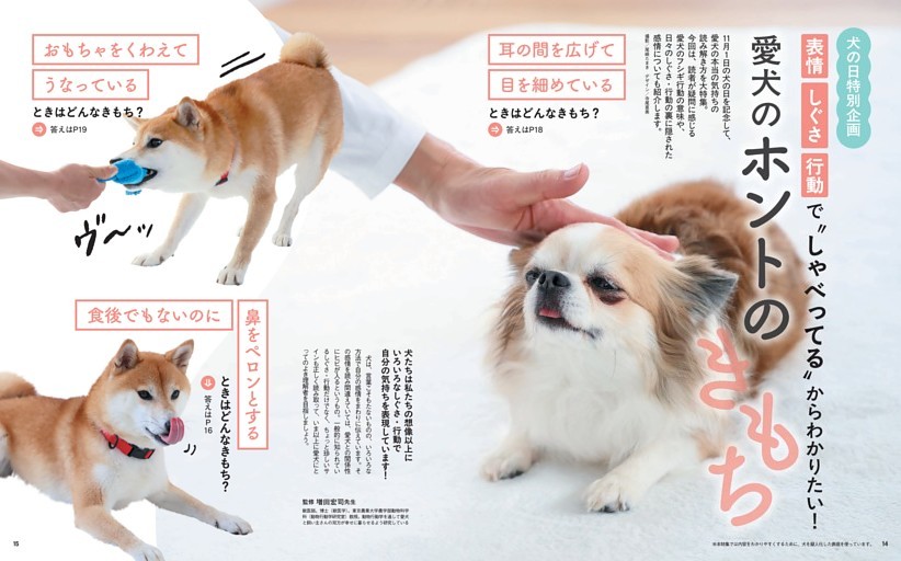 表情・しぐさ・行動で“しゃべってる”からわかりたい！　愛犬のホントのきもち