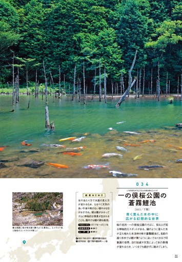 034 一の俣桜公園の蒼霧鯉池［山口］