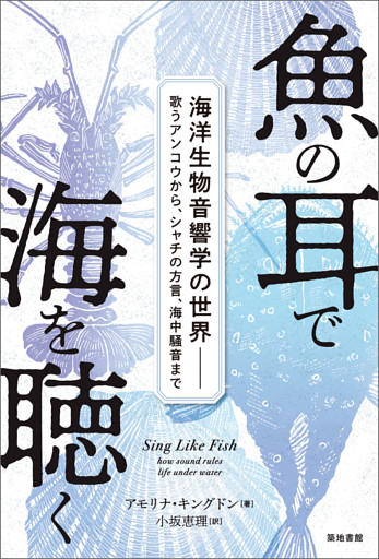 魚の耳で海を聴く