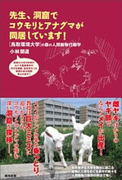 先生、洞窟でコウモリとアナグマが同居しています！