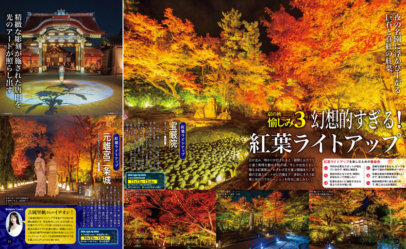 京の秋 2026 愉しみ3 幻想的すぎる！紅葉ライトアップ