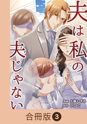 夫は私の夫じゃない【合冊版】（3）