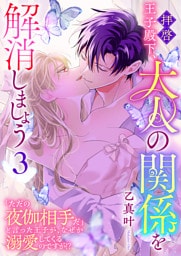 拝啓王子殿下、大人の関係を解消しましょう　〜「ただの夜伽相手だ」と言った王子が、なぜか溺愛してくるのですが!? 〜（３）