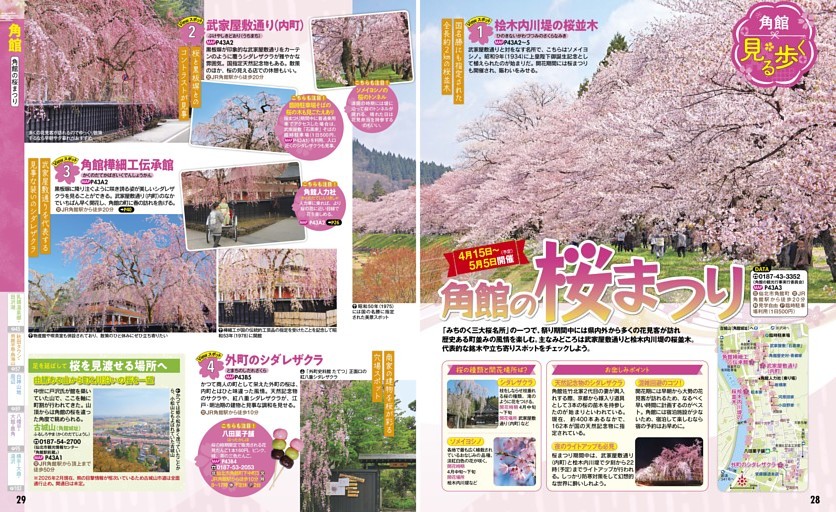 角館／角館の桜まつり