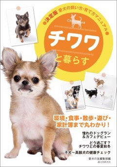 チワワと暮らす