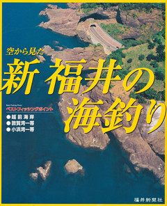 空から見た　新　福井の海釣り