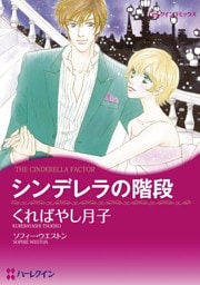 シンデレラの階段【分冊】 2巻