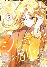 シンデレラにお別れを 3