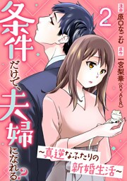 条件だけで、夫婦になれる?～真逆なふたりの新婚生活～ 2巻