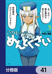 このヒーラー、めんどくさい【分冊版】　41