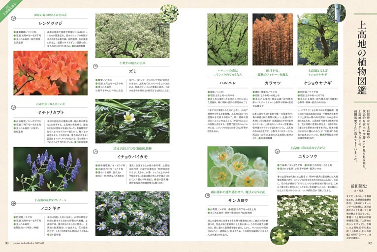 高原と高山の植物②(検索入門) 清水 建美 914o6KI9gkL._UF350,350_QL50_.jpg