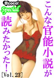 こんな官能小説が読みたかった！vol.23