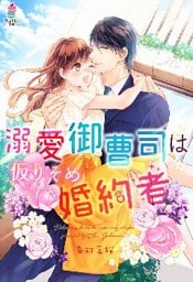 溺愛御曹司は仮りそめ婚約者
