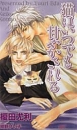 猫はいつでも甘やかされる