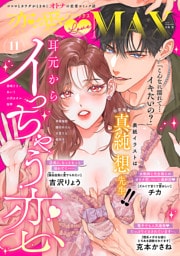 恋愛LoveMAX 2026年11月号
