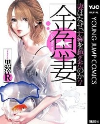 金魚妻 1～13巻セット