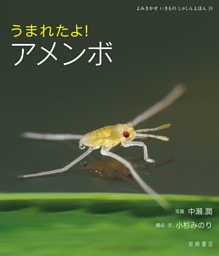 うまれたよ！　アメンボ