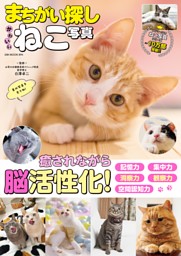 Ane ひめ　vol 17 本と付録のセット完品　5冊 Ane ひめ vol 17 本と付録のセット完品 5冊 雑誌