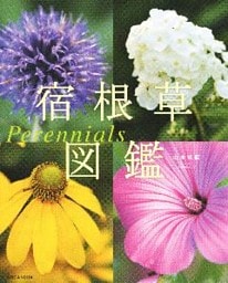 宿根草図鑑　Ｐｅｒｅｎｎｉａｌｓ