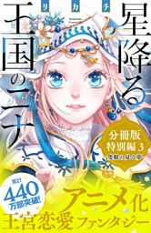 星降る王国のニナ　分冊版　特別編３　隻眼の見る夢