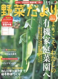 野菜だより 2025年11月号
