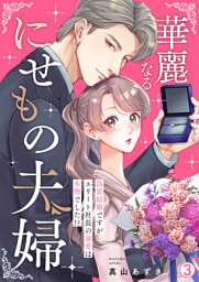 華麗なるにせもの夫婦～偽装結婚ですがエリート社長の溺愛は本物でした！？～(3)