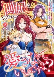 側妃になったけど、別に愛さなくていいですよ２　～ぐーたら妃に迫る王子の立太子と過去からの逆襲～