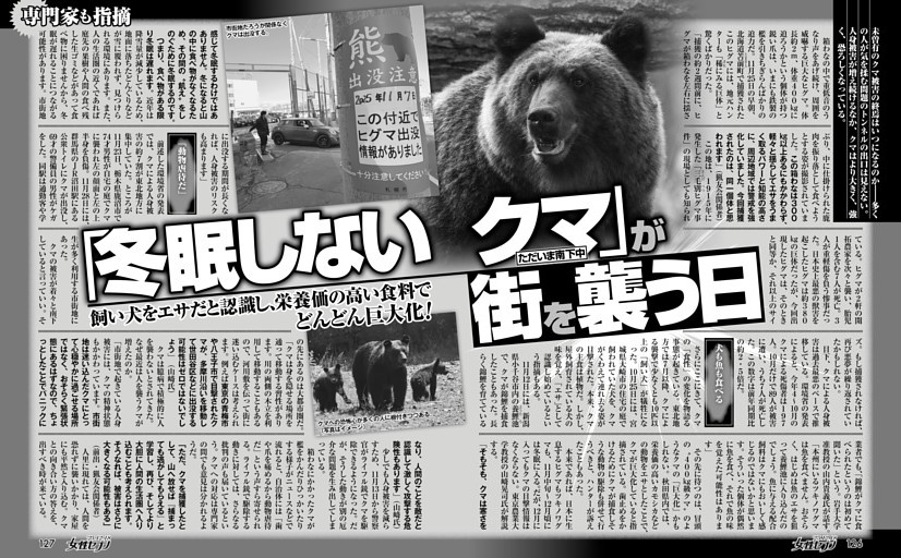 「冬眠しないクマ」が街を襲う日 ただいま南下中