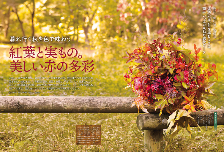 紅葉と実もの。美しい赤の多彩