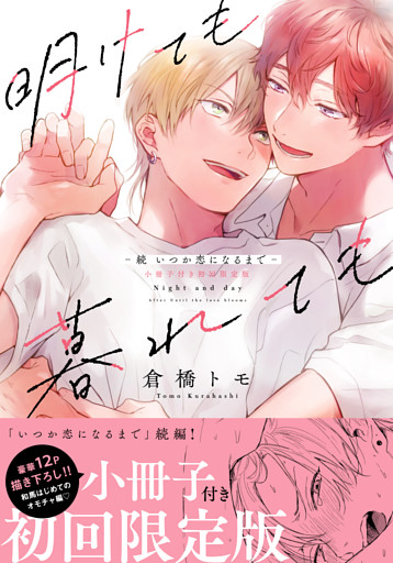 明けても暮れても -続 いつか恋になるまで-【単行本版】