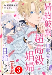 婚約破棄されて娼館に売られる（予定）なので、超高級娼婦を目指します！【合冊版】3