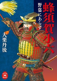 蜂須賀小六 野盗にあらず