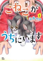 こねこがうちにいます