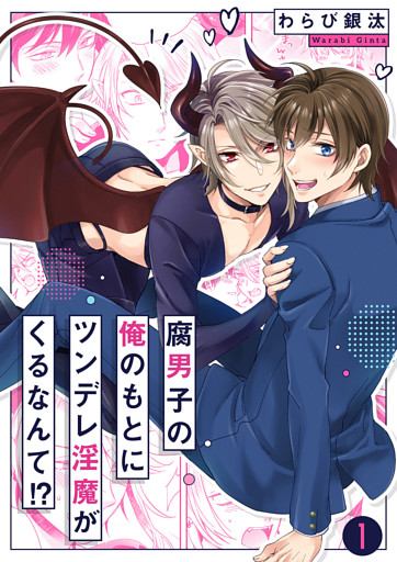 腐男子の俺のもとにツンデレ淫魔がくるなんて！？