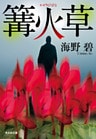 篝火草