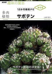多肉植物　サボテン