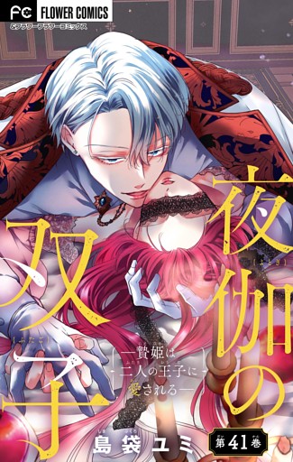 夜伽の双子―贄姫は二人の王子に愛される―【マイクロ】（４１）