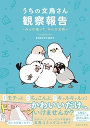 うちの文鳥さん観察報告〜みんな違って、みんな文鳥〜