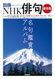 別冊ＮＨＫ俳句　保存版　名句鑑賞アルバム