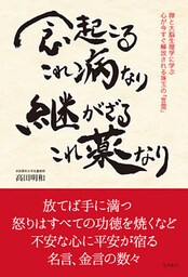 念起こるこれ病なり　継がざるこれ薬なり　禅と大脳生理学に学ぶ　心が今すぐ解放される珠玉の「言霊」